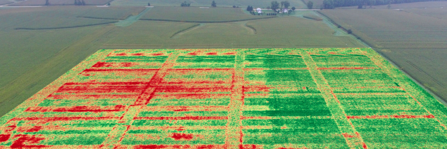 Crop Mapping
