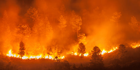 4 Ways Drones Fight Forest Fires