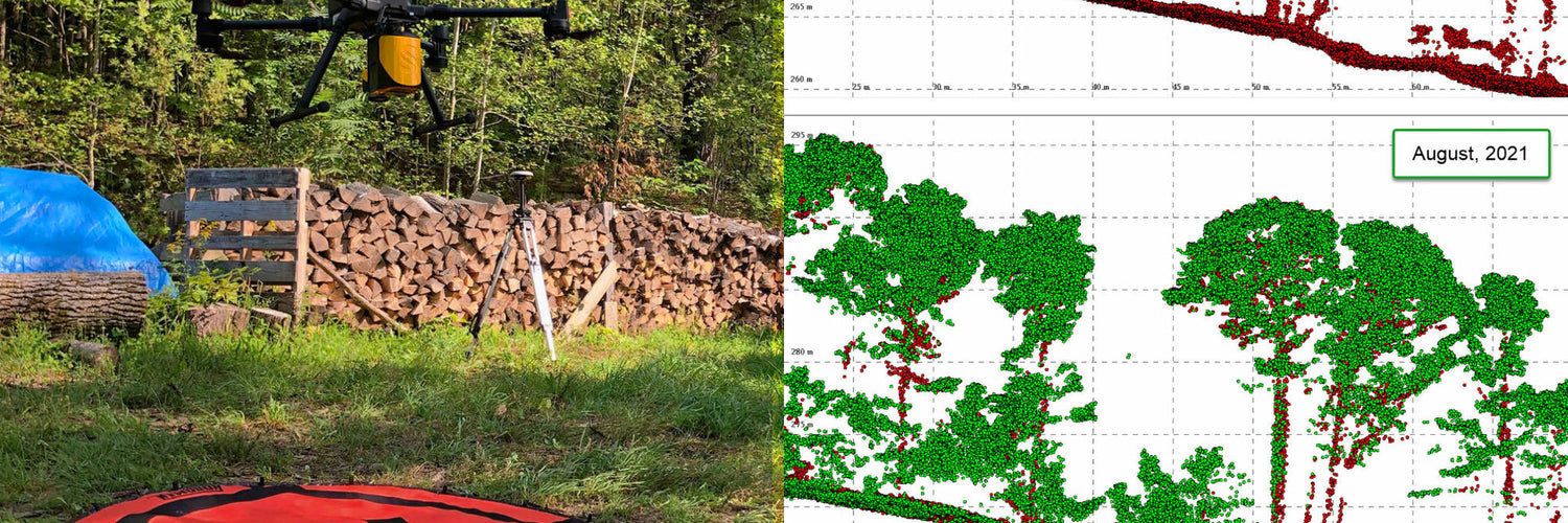 Monitoring gypsy moths with YellowScan's Mapper LiDAR payload